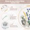 Embroidery Kit for Beginners Set of 3, Flower Pattern Embroidery Kits for Starter or Adults Hand DIY Practice Kit, Step by Step Instructions and Video Tutorial